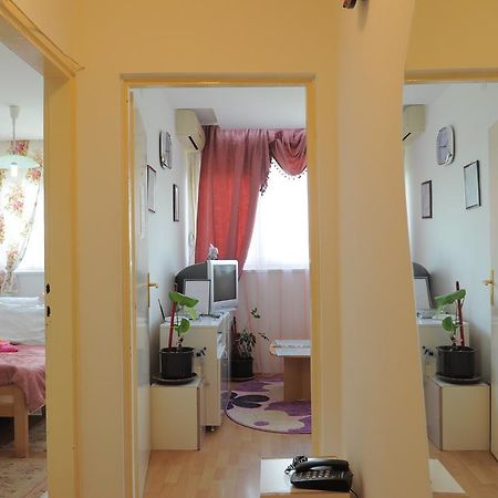 Apartment Daca Stan Belgrad Zewnętrze zdjęcie