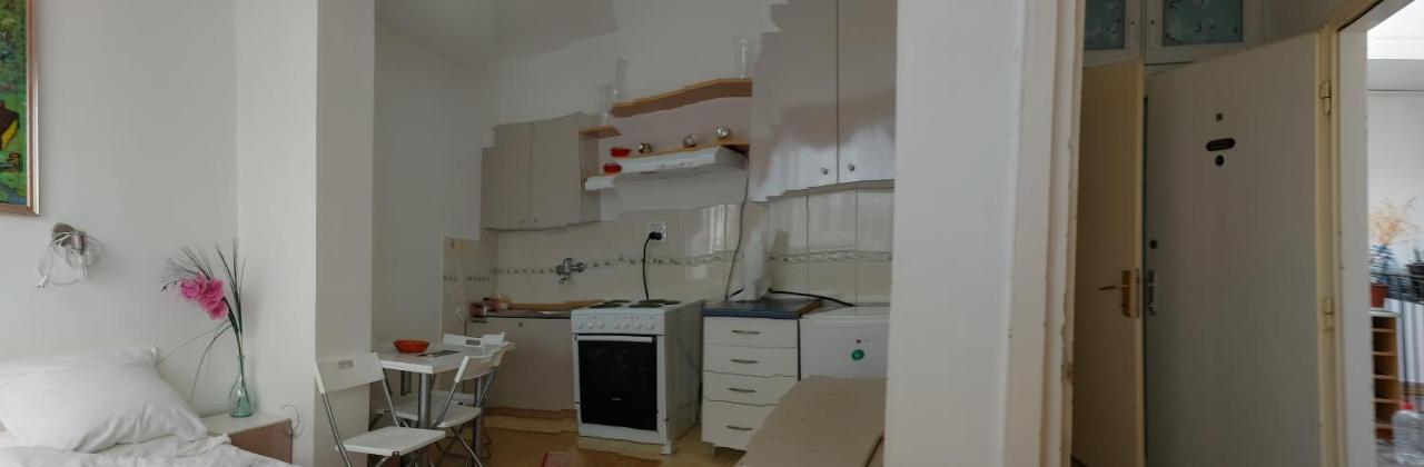 Apartment Daca Stan Belgrad Zewnętrze zdjęcie