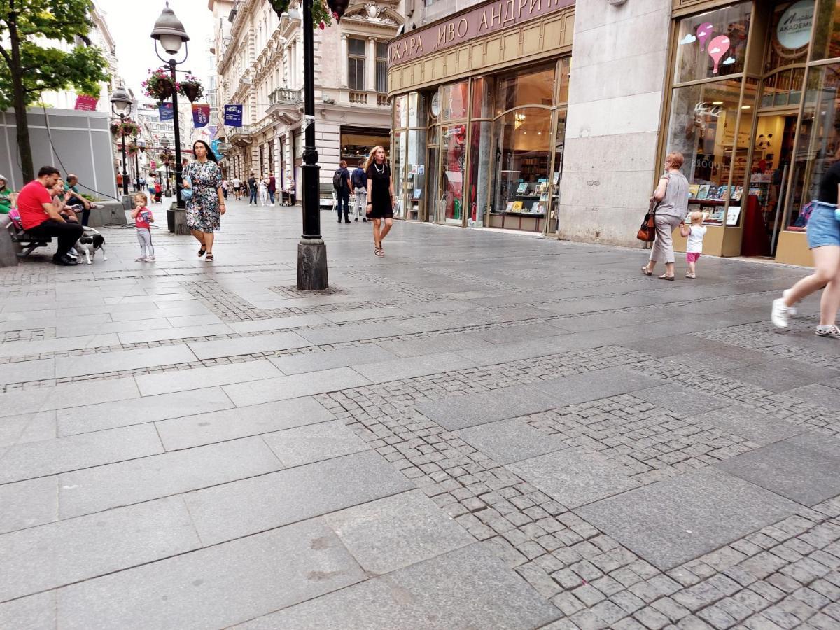 Apartment Daca Stan Belgrad Zewnętrze zdjęcie