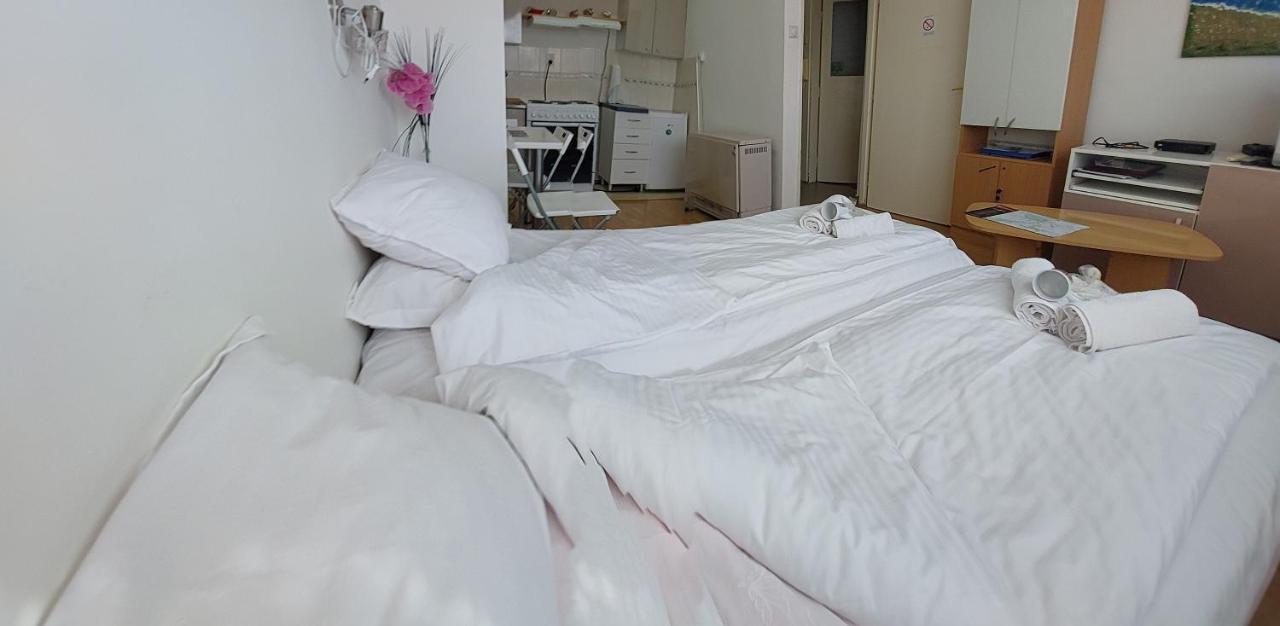 Apartment Daca Stan Belgrad Zewnętrze zdjęcie