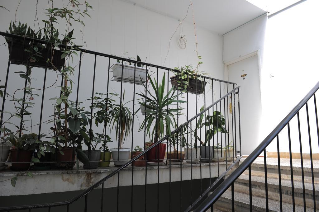 Apartment Daca Stan Belgrad Zewnętrze zdjęcie