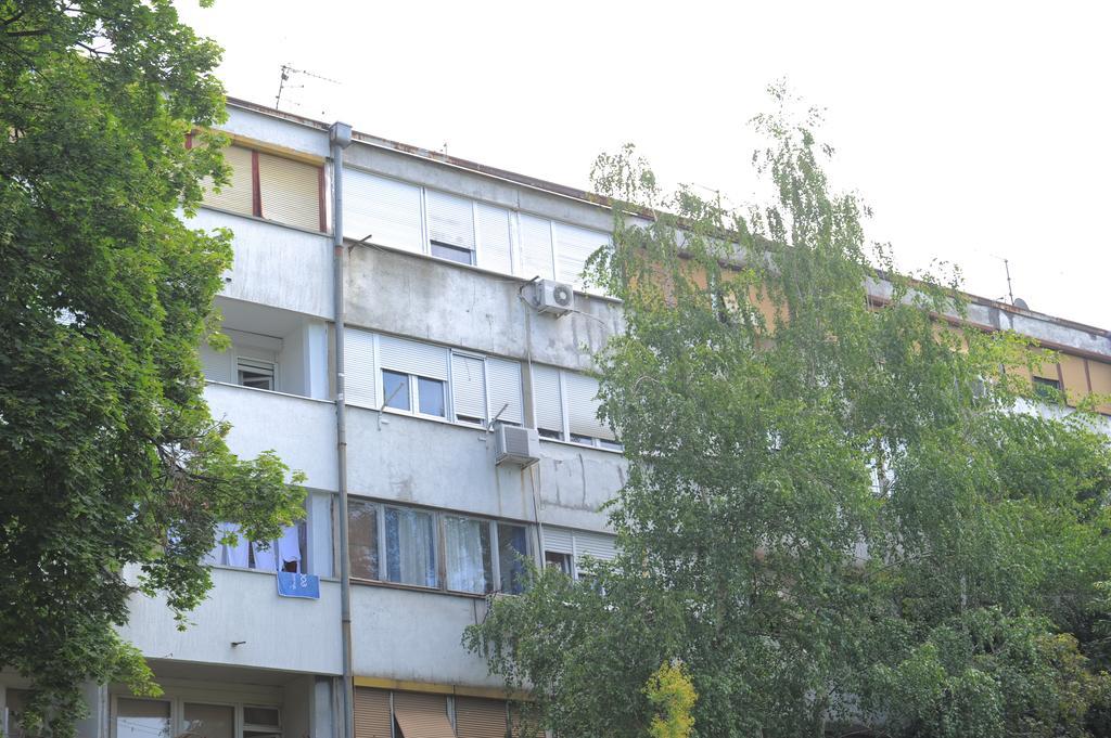 Apartment Daca Stan Belgrad Zewnętrze zdjęcie
