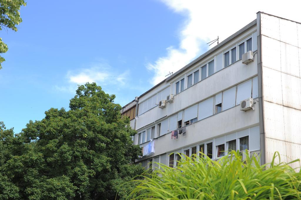 Apartment Daca Stan Belgrad Zewnętrze zdjęcie