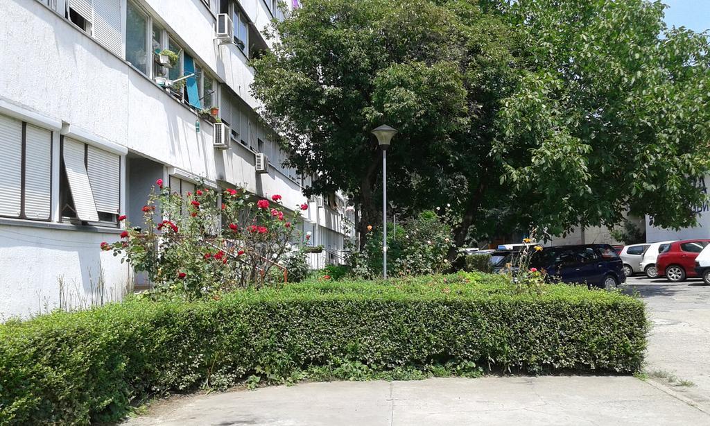 Apartment Daca Stan Belgrad Zewnętrze zdjęcie