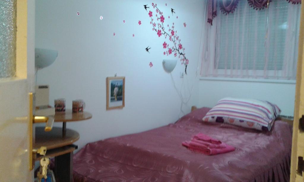 Apartment Daca Stan Belgrad Zewnętrze zdjęcie
